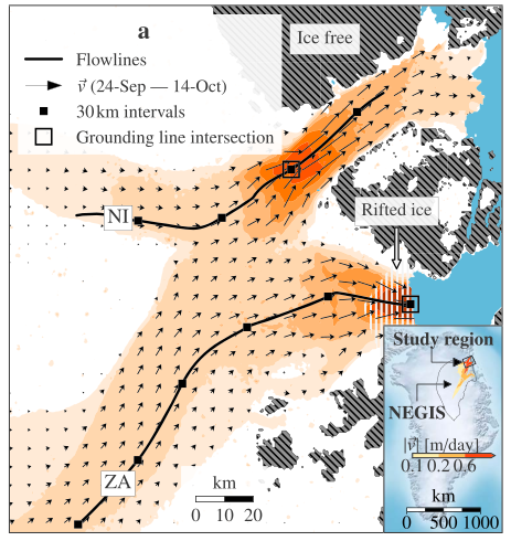 Highly temporally resolved response to seasonal surface melt of the Zachariae and 79N outlet glaciers in northeast Greenland