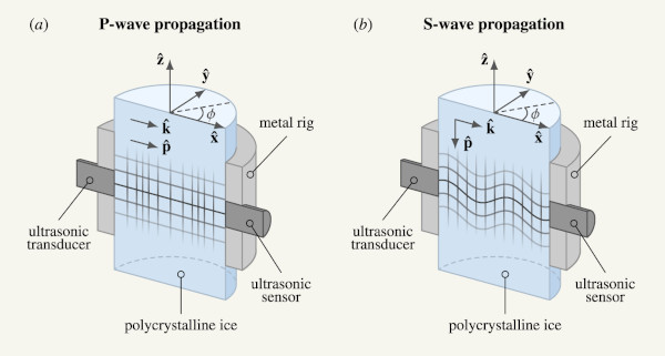 Elastic wave propagation in anisotropic polycrystals: inferring physical properties of glacier ice