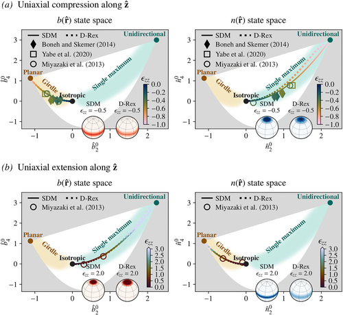 A Spectral Directors Method for Modeling the Coupled Evolution of Flow and CPO in Polycrystalline Olivine