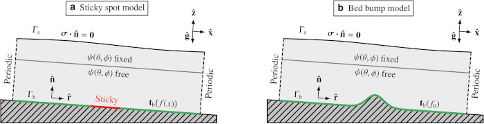 Inferred basal friction and mass flux affected by crystal-orientation fabrics
