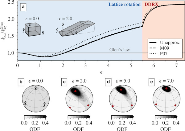 On the nonlinear viscosity of the orthotropic bulk rheology