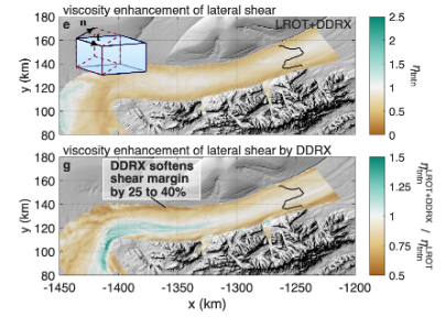 Recrystallization softens the shear margins of Rutford Ice Stream, West Antarctica